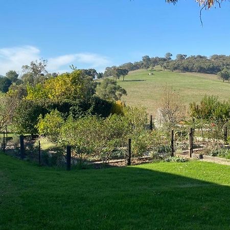 Mount Hope Estate Vineyard Apartment Dixons Creek Luaran gambar