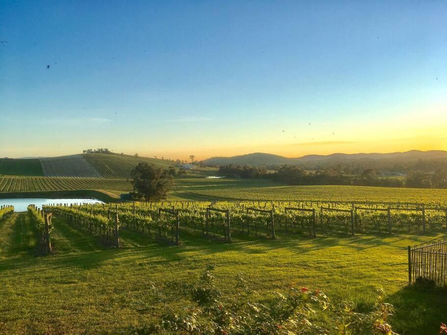 Mount Hope Estate Vineyard Apartment Dixons Creek Luaran gambar